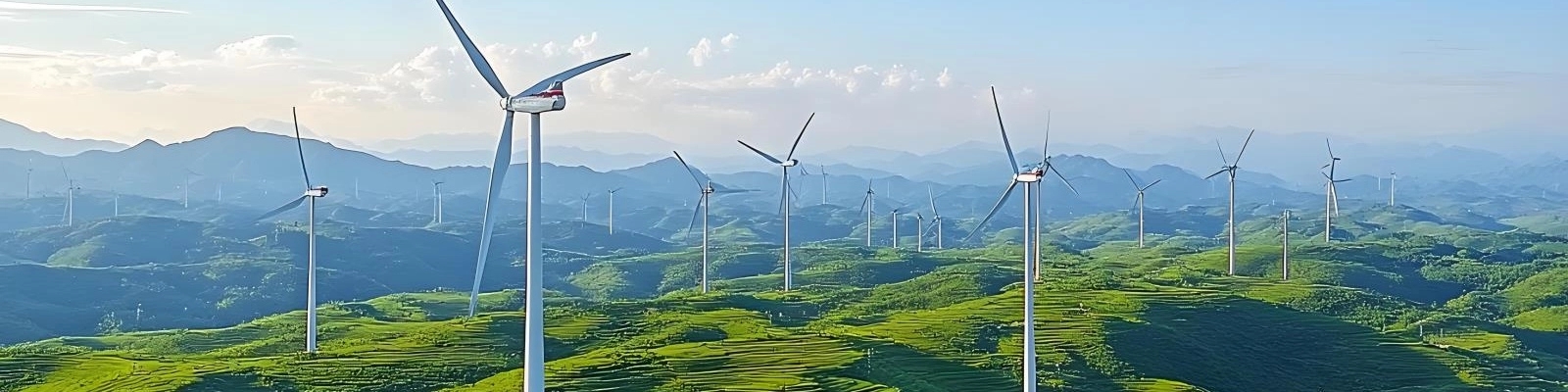 93ef8c84f11c54e3ae23f48721ffc1d8_5